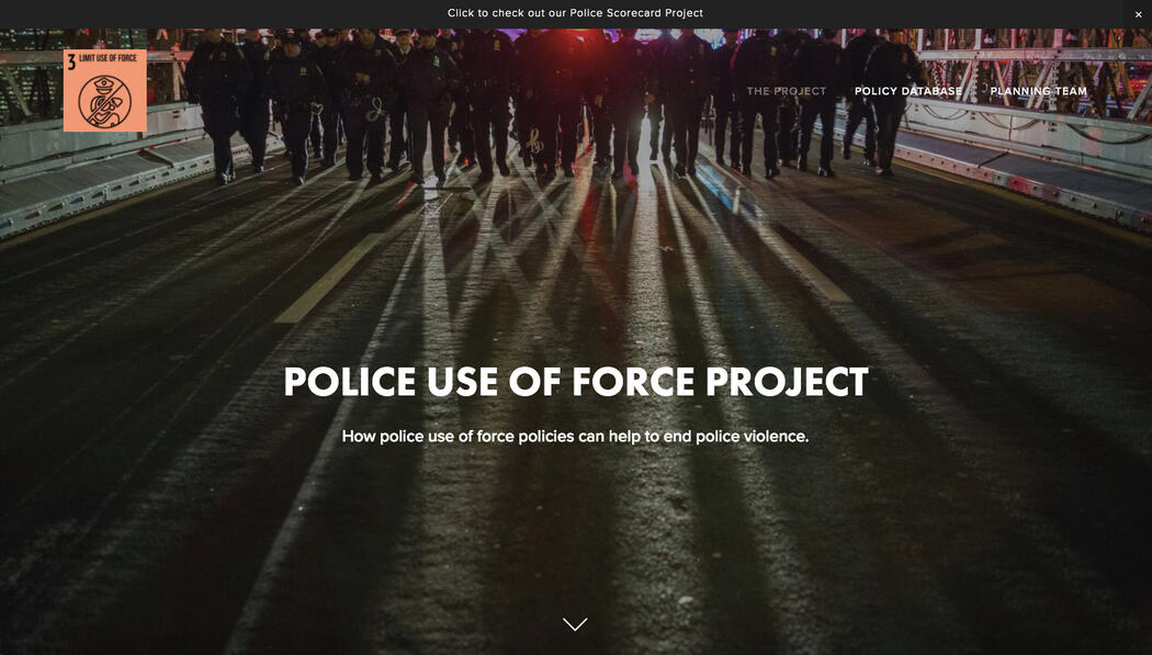Police Use of Force Project